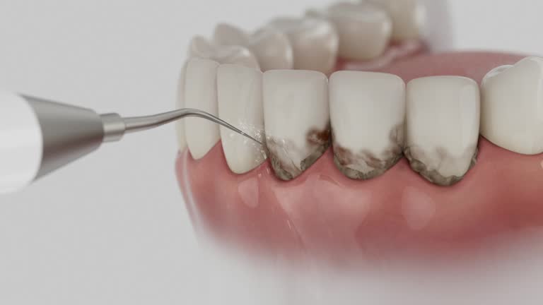 Trusted Emergency Dentist service in Williamston, MI - Dentist Open Now